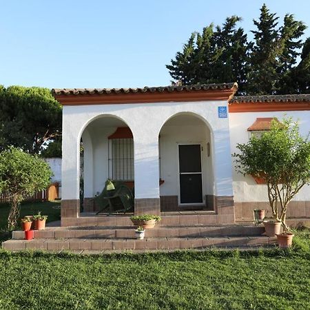 Chalet con piscina, amplio jardin y aire acondicionado Chiclana de la Frontera Exterior foto